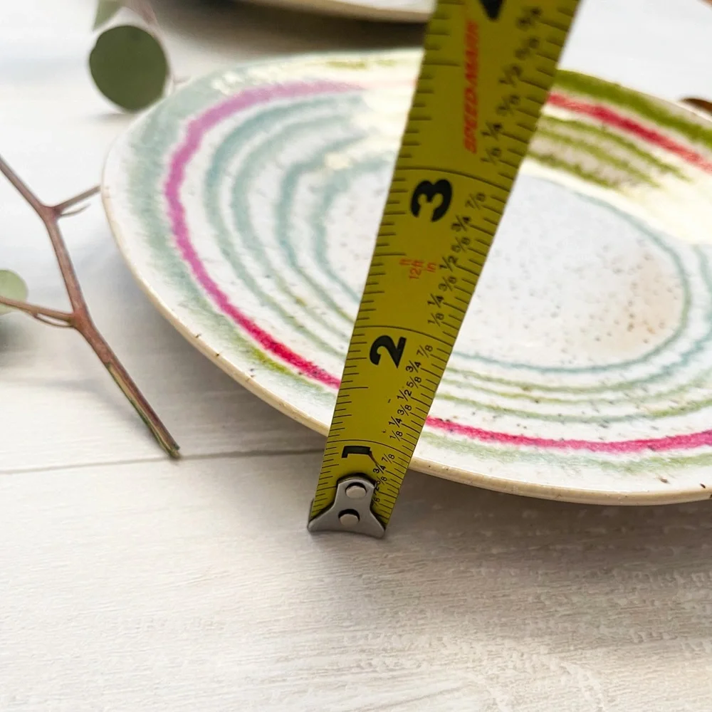 CRATE & BARREL Lina Stripe 8.5” Handcrafted Handpainted Salad Plates (Set of 2)